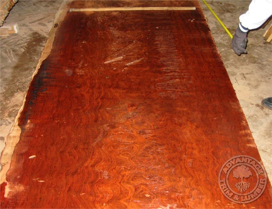 figured bubinga stock