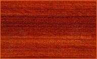 African Padauk