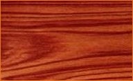 tulipwood lumber