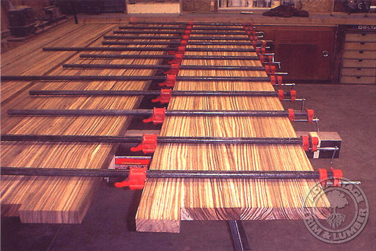 Zebrawood Zebrawood