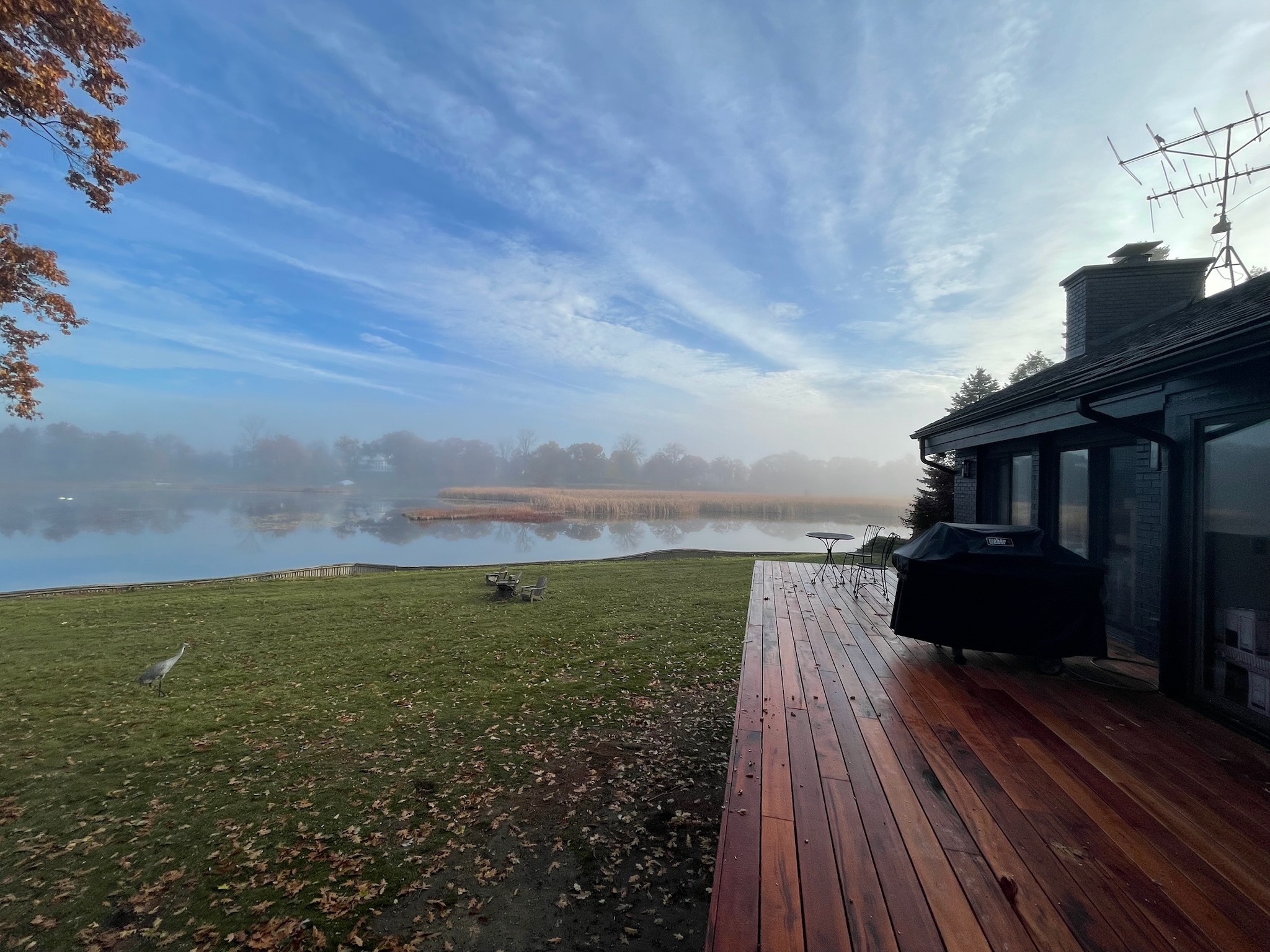 Tigerwood Deck in Clarkston, MI