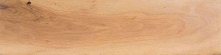 Live Oak Turning Blanks