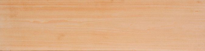 Basswood