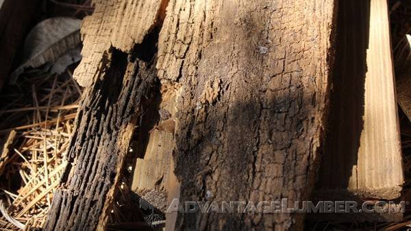 Softer woods like pine are prone to rot and decay. Hardwoods like Ipe? Not so much.