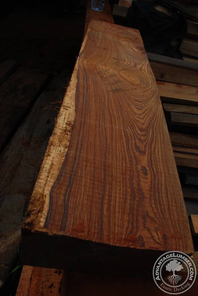Beautiful piece of Cocobolo harvested by hand arriving from Mexico
